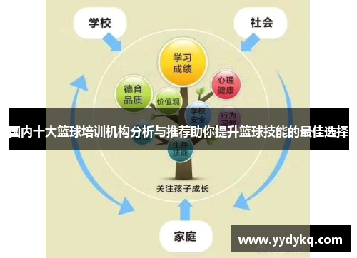 国内十大篮球培训机构分析与推荐助你提升篮球技能的最佳选择