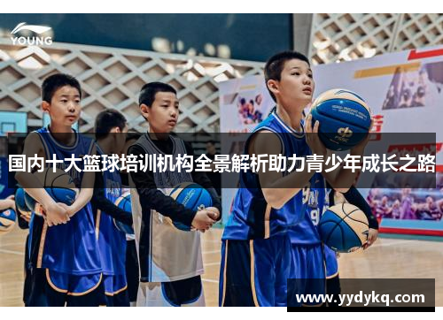 国内十大篮球培训机构全景解析助力青少年成长之路