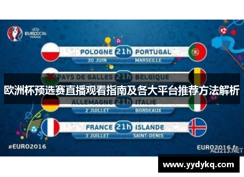 欧洲杯预选赛直播观看指南及各大平台推荐方法解析