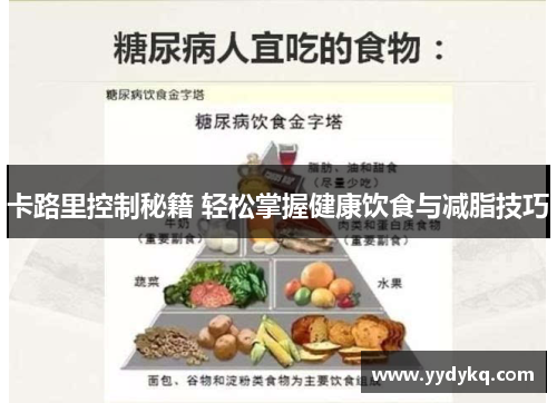 卡路里控制秘籍 轻松掌握健康饮食与减脂技巧