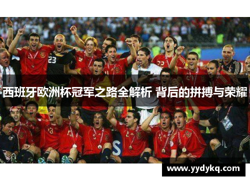 西班牙欧洲杯冠军之路全解析 背后的拼搏与荣耀