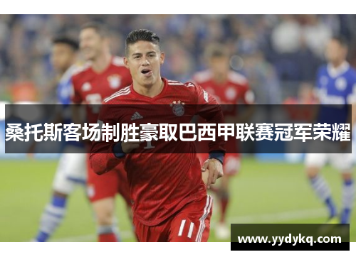桑托斯客场制胜豪取巴西甲联赛冠军荣耀