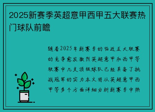 2025新赛季英超意甲西甲五大联赛热门球队前瞻