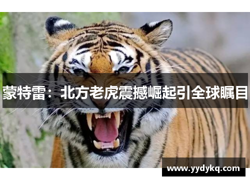 蒙特雷：北方老虎震撼崛起引全球瞩目