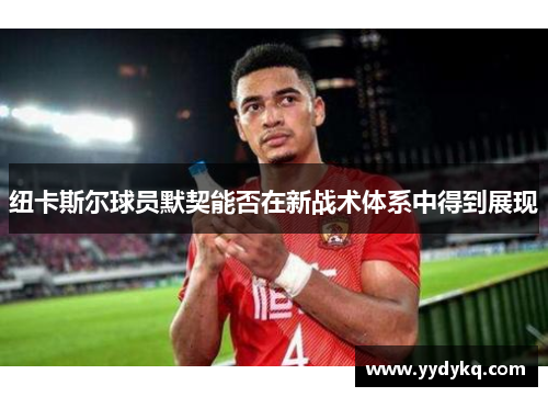 纽卡斯尔球员默契能否在新战术体系中得到展现
